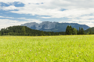 Österreich, Steiermark, Wiese mit Blick auf die Schertenspitze - AIF00657