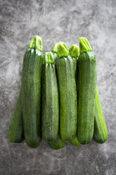 Courgettes in a row, grey background - GIOF05860