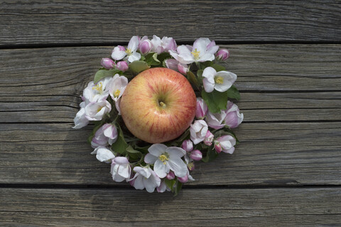 Apfel 'Gala Royal' umgeben von Apfelblüten auf Holz, lizenzfreies Stockfoto