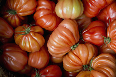 Ochsenherz-Tomaten auf dem Markt - CRF02848