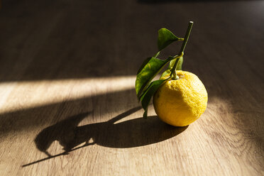 Zitrone und Schatten auf Holz - GIOF05883
