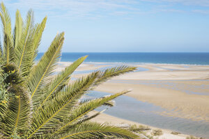 Ruhige, idyllische Szene tropischer Palmen und sonniger Meeresstrand, Cacela Velha, Algarve, Portugal - FSIF03768