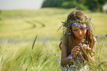 Neugieriges Mädchen mit Wildblumen im Haar in einem sonnigen, ländlichen Weizenfeld - FSIF03798