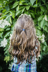 Girl with flowers in hair at blooming bush - FSIF03803
