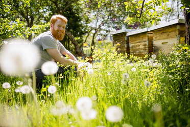 Portrait happy man with beard gardening in sunny garden - FSIF03840