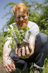 Mann mit Bart hält Bäumchen im sonnigen Garten - FSIF03841