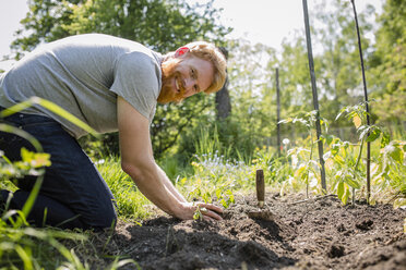 Portrait lächelnder, selbstbewusster Mann mit Bart pflanzt Gemüse in einem sonnigen Garten - FSIF03848