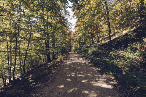 Spanien, Navarra, Wald von Irati, Waldweg - RSGF00131