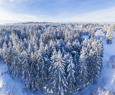 Deutschland, Bayern, Luftbild über verschneitem Fichtenwald bei Geretsried - SIEF08475