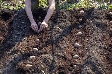 Man planting potato - NDF00879