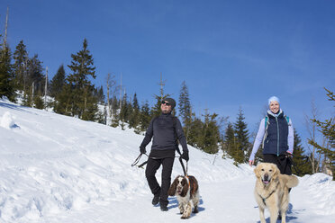 Deutschland, Bayerischer Wald, Lusen, Frau und Mann mit Hunden wandern im Winter - MAEF12828