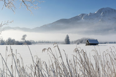 Deutschland, Oberbayern, Werdenfelser Land, Kochel, Winterlandschaft - LHF00625