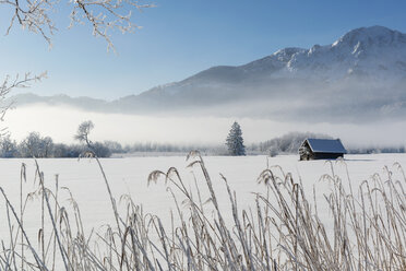 Germany, Upper Bavaria, Werdenfelser Land, Kochel, winter landscape - LHF00625