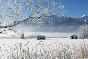 Germany, Upper Bavaria, Werdenfelser Land, Kochel, winter landscape, shack - LHF00626