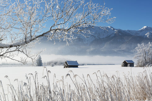 Deutschland, Oberbayern, Werdenfelser Land, Kochel, Winterlandschaft, Hütte - LHF00626