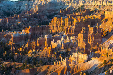 USA, Utah, Bryce Canyon National Park, Sandsteinformationen im Abendlicht - RUNF01657