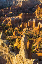 USA, Utah, Bryce Canyon National Park, Sandsteinformationen im Abendlicht - RUNF01659