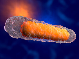 3D rendered illustration of a generic bacteria - SPCF00391