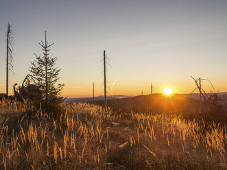 Deutschland, Bayern, Bayerischer Wald, Sonnenaufgang am Lackenberg bei Bayerisch Eisenstein - HUSF00031