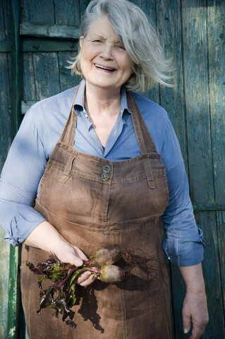 Senior woman harvesting beetroot, garden apron made of old linen pants stock photo