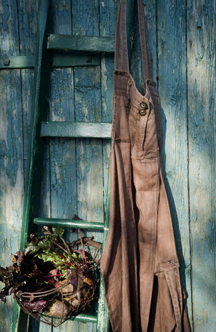 Holzleiter und Korb mit Roter Bete, Gartenschürze aus alter Leinenhose, lizenzfreies Stockfoto