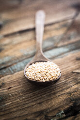 Oats on spoon - GIOF05940