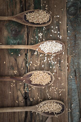 Oats, spelt, barley and buckweath on spoons - GIOF05941