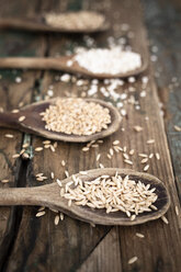 Oats, spelt, barley and buckweath on spoons - GIOF05942