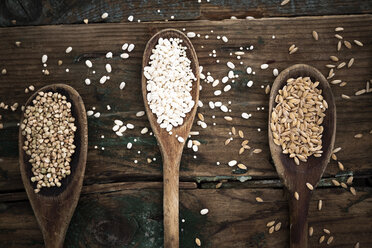 Spelt, barley and buckweath on spoons - GIOF05943