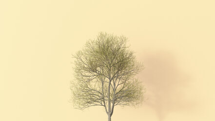 3D-Rendering, einzelner kahler Baum auf gelbem Hintergrund - UWF01536