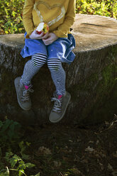 Low section of girl with an apple sitting on a tree stump - GAF00112