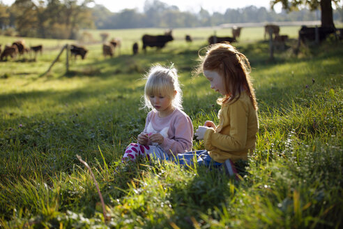 Two sisters sitting in rural field - GAF00126