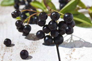 Aronia berrie on white wood, close up - CSF29334