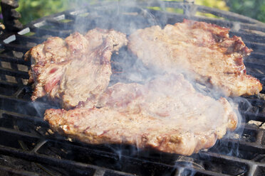 Pork chops on barbecue grill, close up - CSF29342