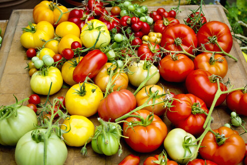 Stapel mit verschiedenen Tomatensorten - CSF29344