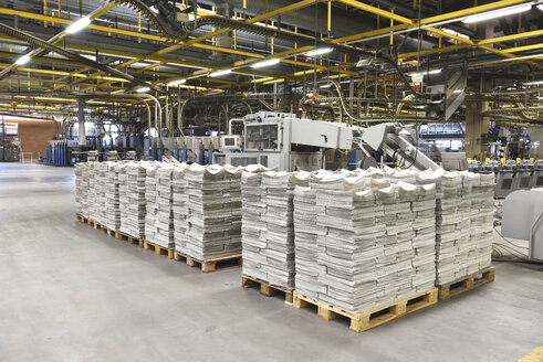 Printing shop, newspapers on pallets - SCHF00483