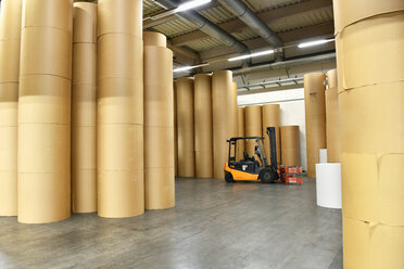 Printing shop: paper rolls - SCHF00488