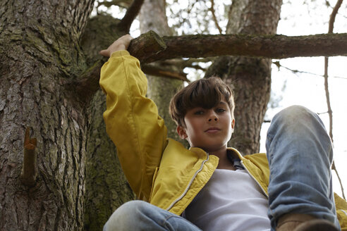 Porträt eines Jungen, der auf einen Baum klettert - AMEF00050