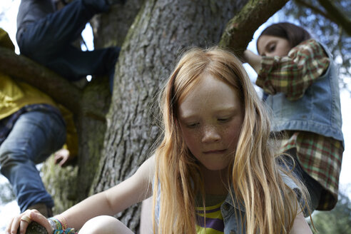 Redheaded girl with friends climbing in a tree - AMEF00052