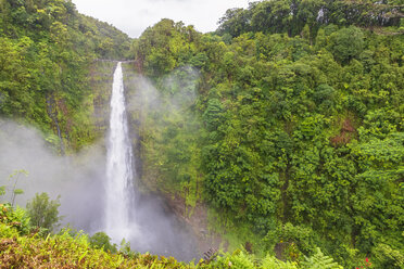USA, Hawaii, Big Island, Akaka Falls State Park, Akaka Falls und Kolekole Stream - FOF10500