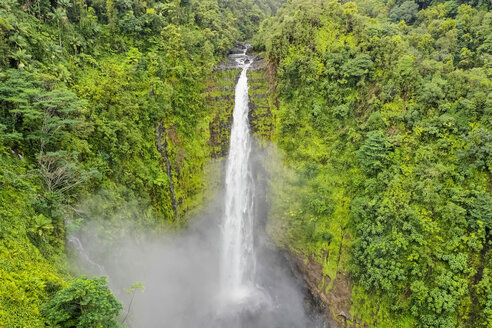 USA, Hawaii, Big Island, Akaka Falls State Park, Akaka Falls und Kolekole Stream - FOF10504