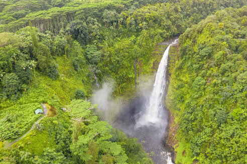 USA, Hawaii, Big Island, Akaka Falls State Park, Akaka Falls und Kolekole Stream - FOF10505