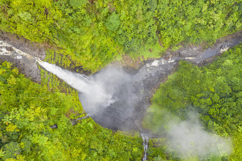 USA, Hawaii, Big Island, Akaka Falls State Park, Akaka Falls und Kolekole Stream - FOF10506