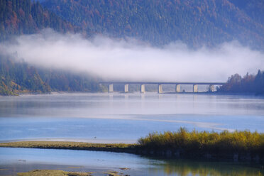 Deutschland, Bayern, Isarwinkel, bei Lenggries, Sylvensteintalsperre im Morgennebel - SIEF08521