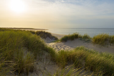 Germany, Sylt, North Sea, sunset - MKFF00490