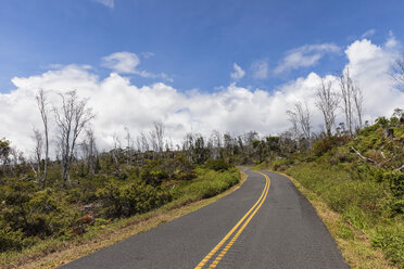 USA, Hawaii, Big Island, empty road - FOF10515