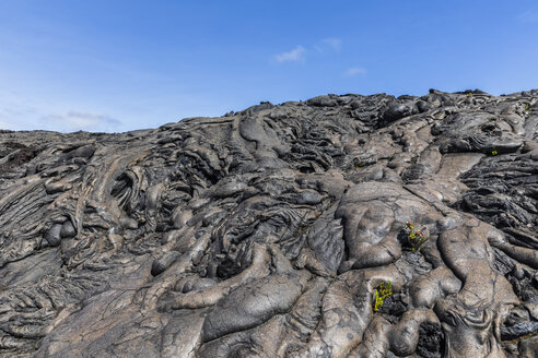 USA, Hawaii, Volcanoes National Park, Lavafelder entlang der Chain of Craters Road - FOF10529