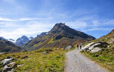 Austria, Vorarlberg, Bielerhoehe, Silvretta, trail to Klostertal - WWF04959