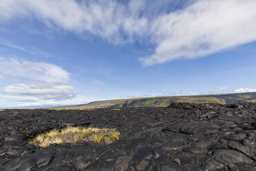 USA, Hawaii, Big Island, Volcanoes National Park, Ka Lae Apuki, lava fields - FOF10544