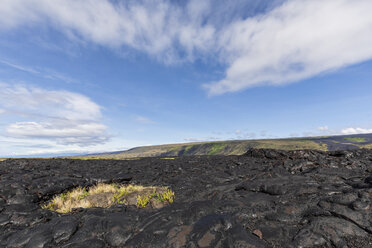 USA, Hawaii, Big Island, Volcanoes National Park, Ka Lae Apuki, Lavafelder - FOF10544